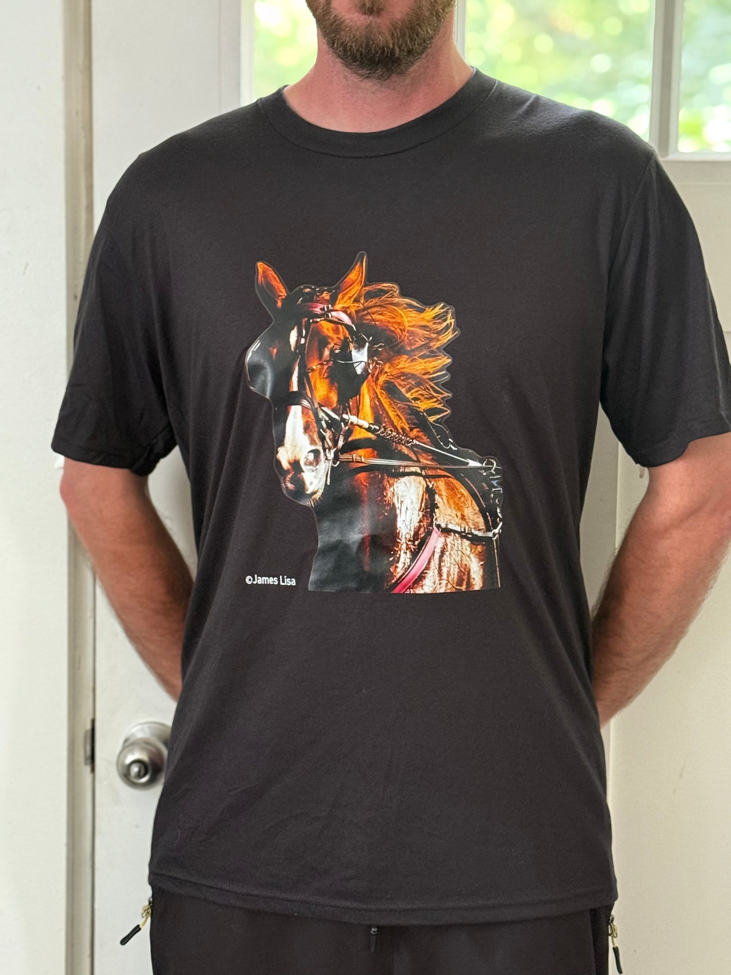 Elista Lista Men's Tee